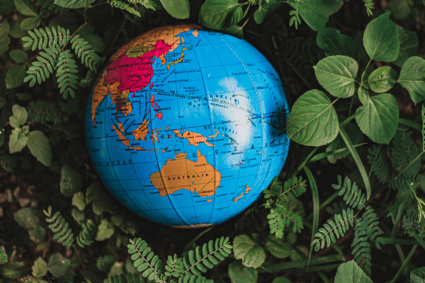 Classement des pays à risque de déforestation