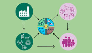 Origine et impact environnemental des PFAS